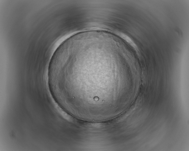 X0000113341431200910060948