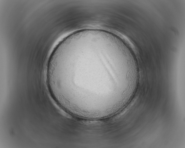 X0000113341432200910060948