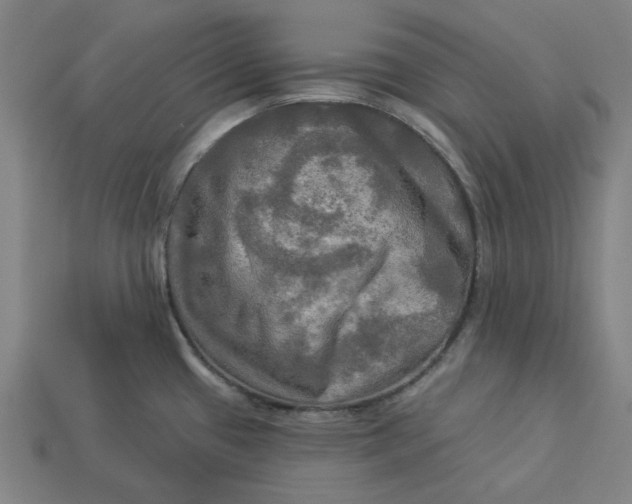 X0000113341433200910060948