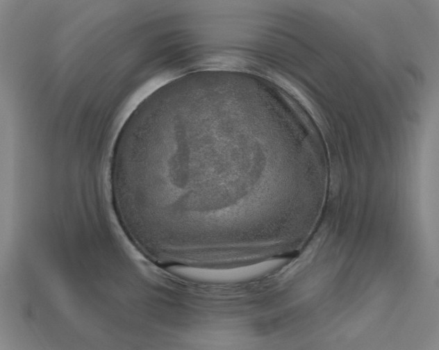 X0000113341434200910060948