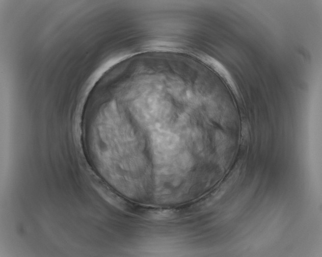 X0000113341435200910060948