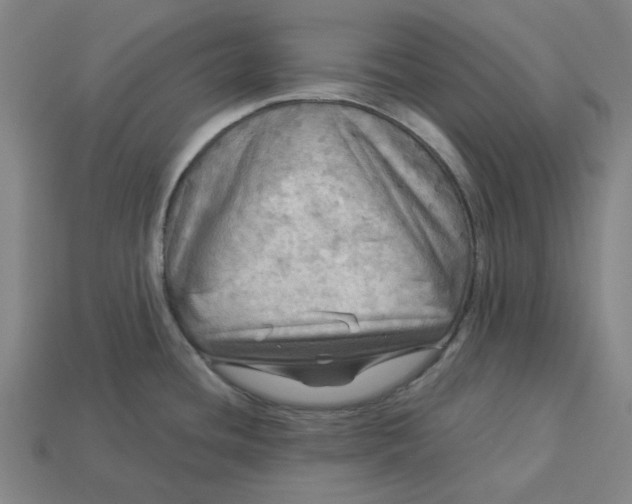 X0000113341436200910060948