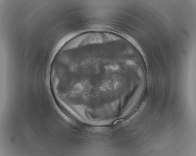 X0000113341437200910060948