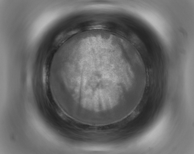 X0000113341438200910060948