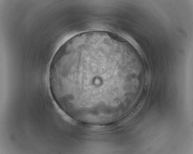 X0000113341439200910060948