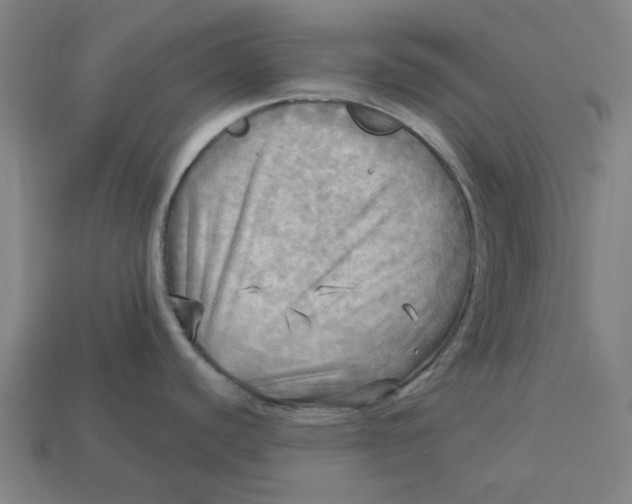 X0000113341440200910060948