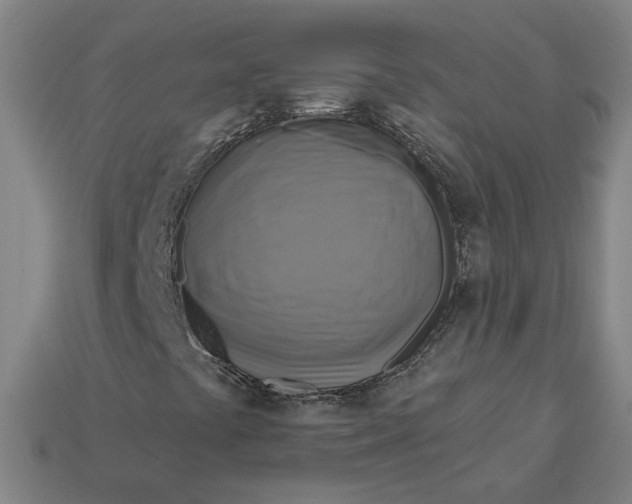 X0000113341441200910060948