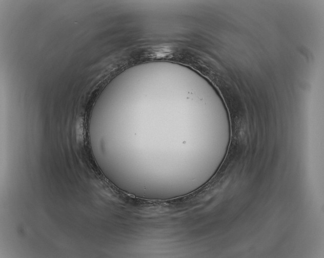 X0000113341442200910060948