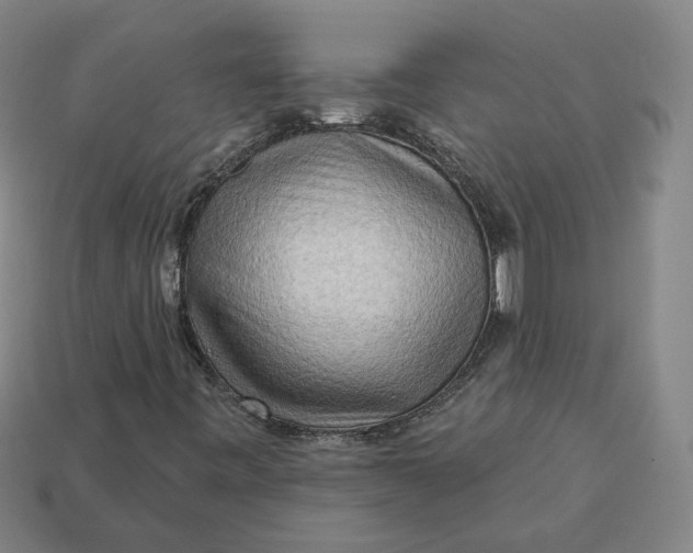 X0000113341443200910060948