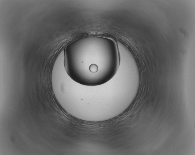 X0000113341444200910060948