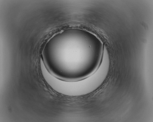 X0000113341445200910060948