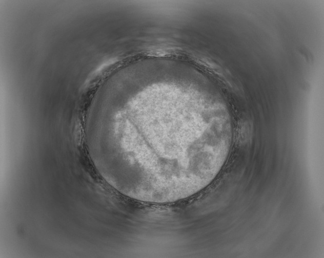 X0000113341446200910060948