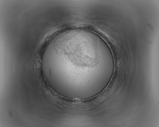 X0000113341447200910060948