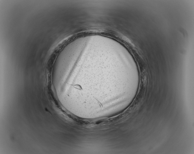 X0000113341448200910060948