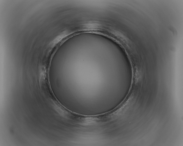 X0000113341449200910060948