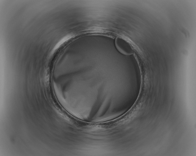 X0000113341450200910060948