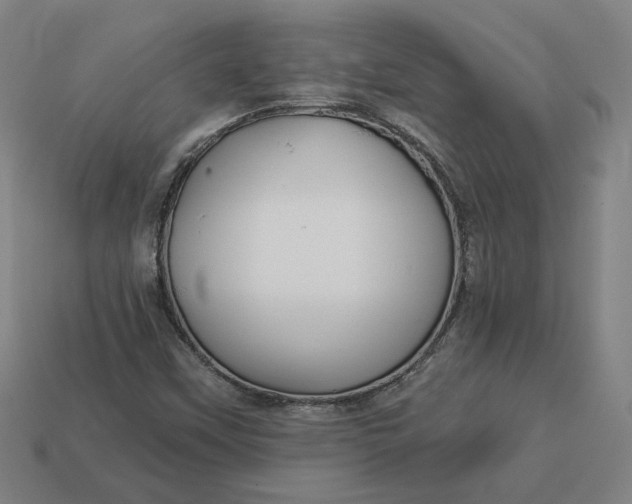 X0000113341451200910060948