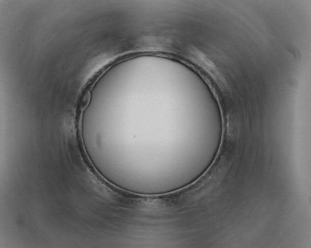 X0000113341452200910060948