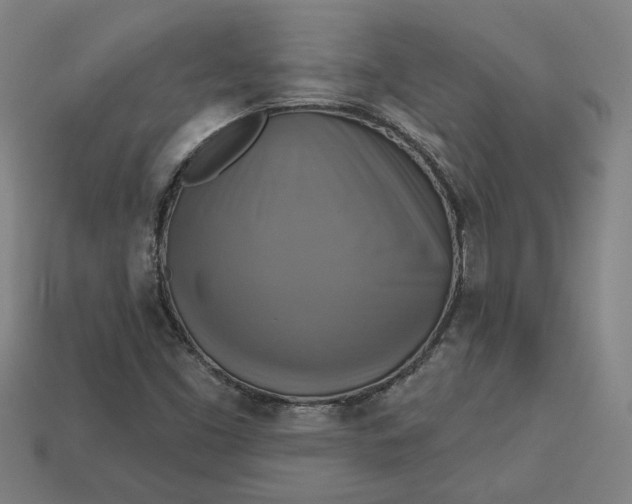 X0000113341453200910060948