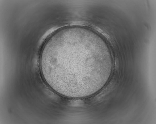 X0000113341454200910060948