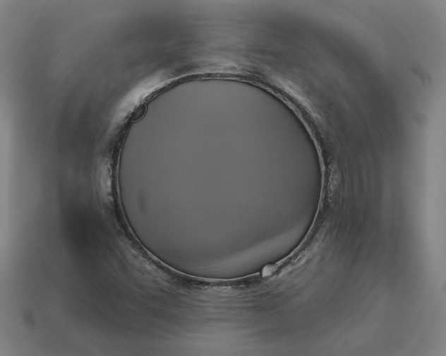 X0000113341455200910060948