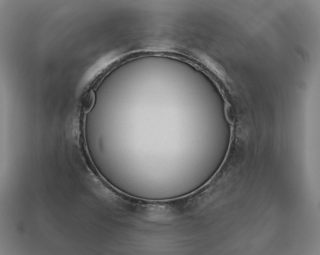 X0000113341456200910060948