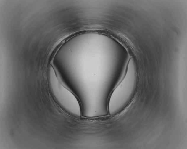 X0000113341457200910060948