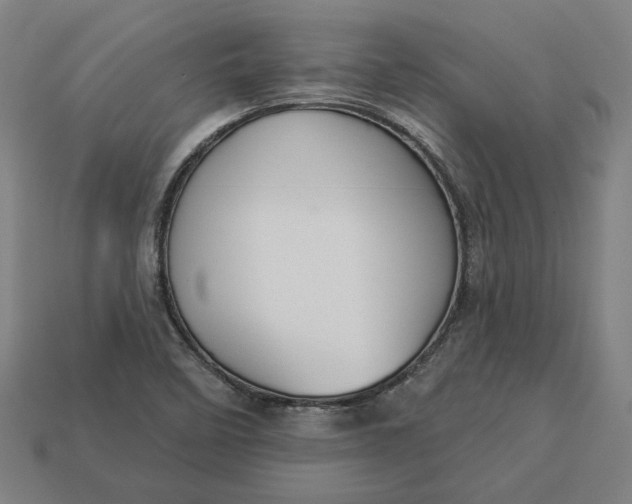 X0000113341458200910060948