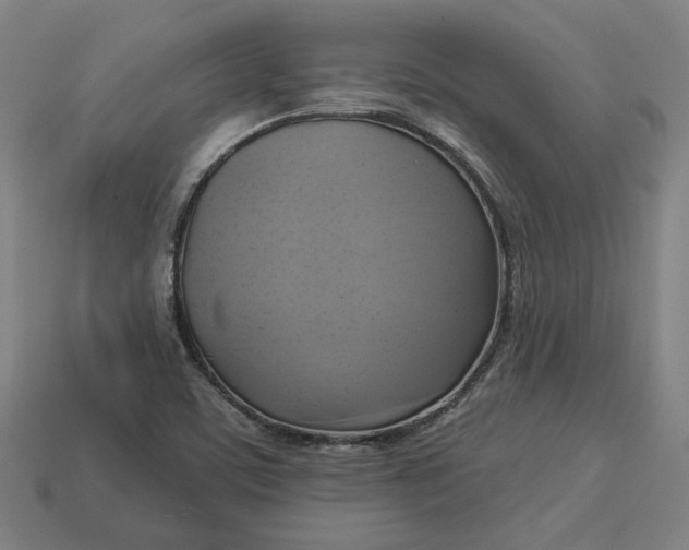 X0000113341459200910060948