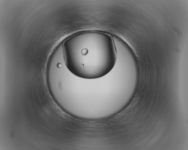 X0000113341460200910060948