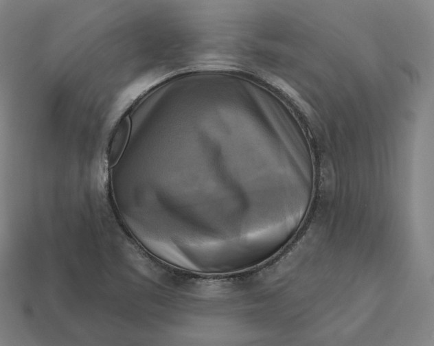 X0000113341461200910060947