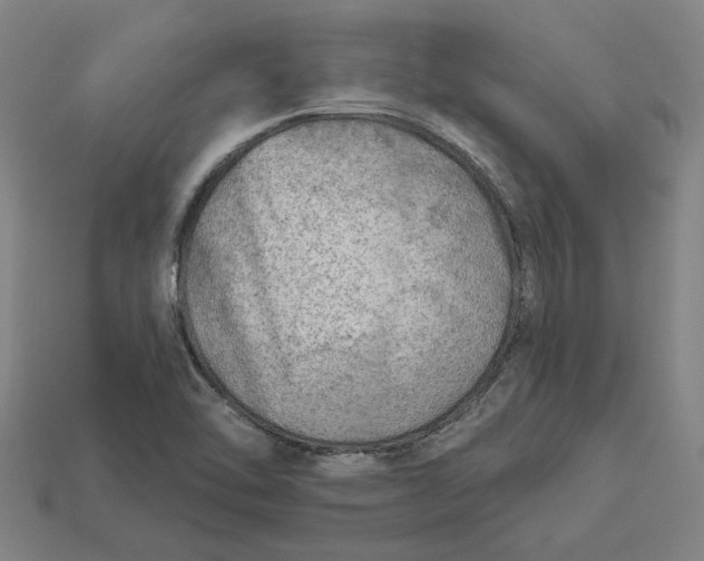 X0000113341462200910060947