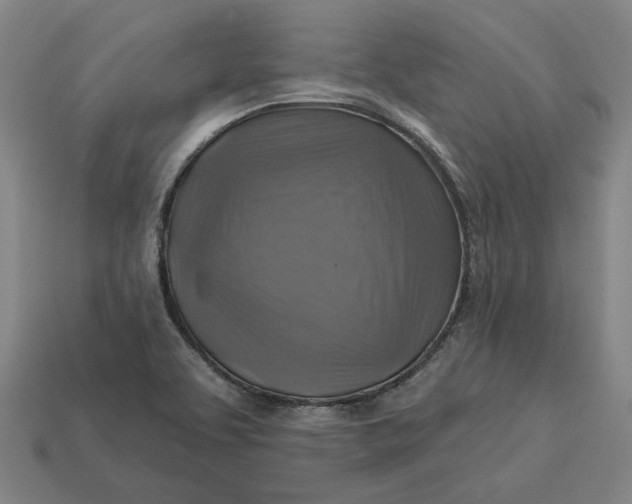 X0000113341463200910060947