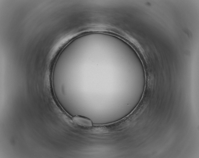 X0000113341464200910060947