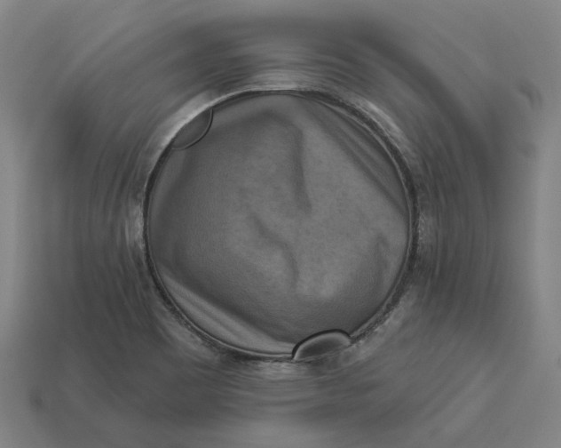 X0000113341465200910060947