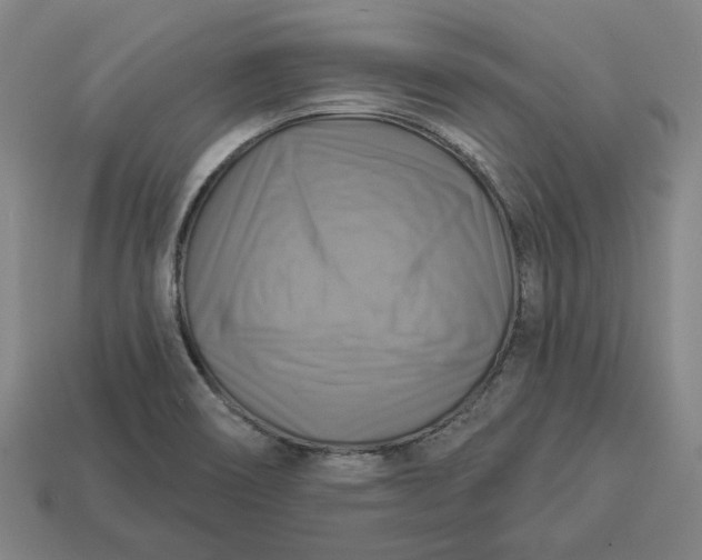 X0000113341466200910060947