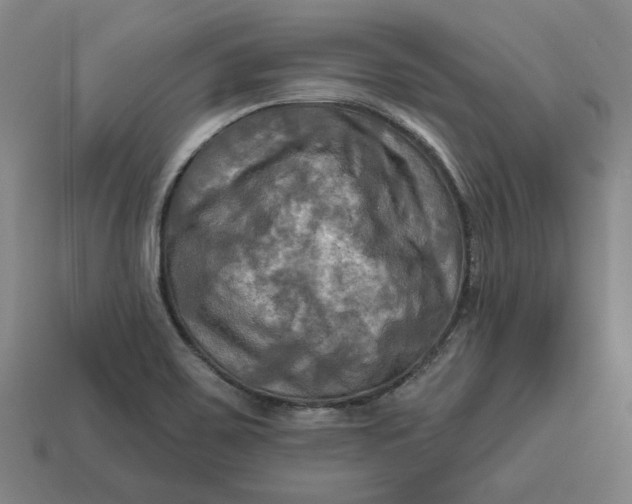 X0000113341467200910060947