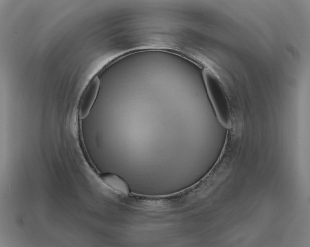 X0000113341468200910060947