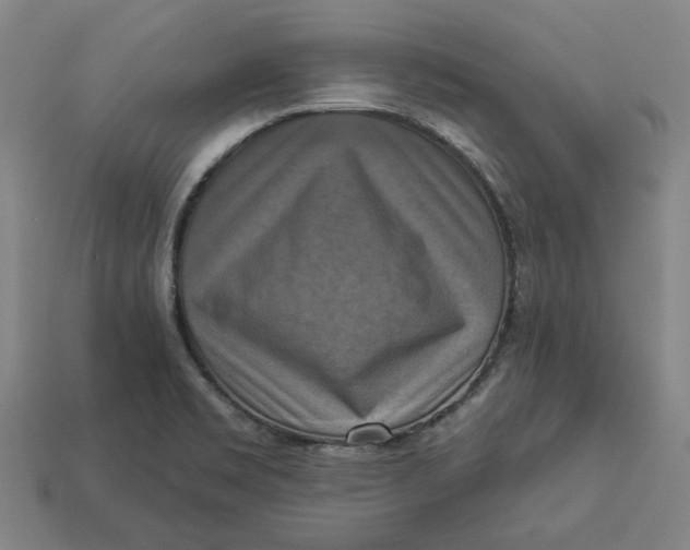 X0000113341469200910060947