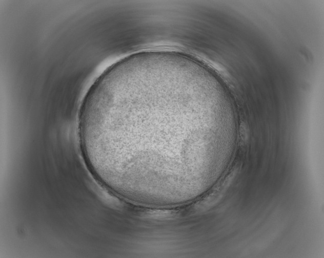 X0000113341470200910060947