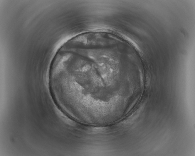 X0000113341471200910060947