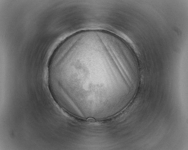 X0000113341472200910060947