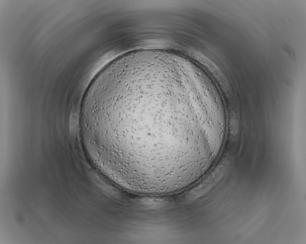 X0000113341473200910060947