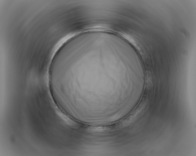 X0000113341474200910060947