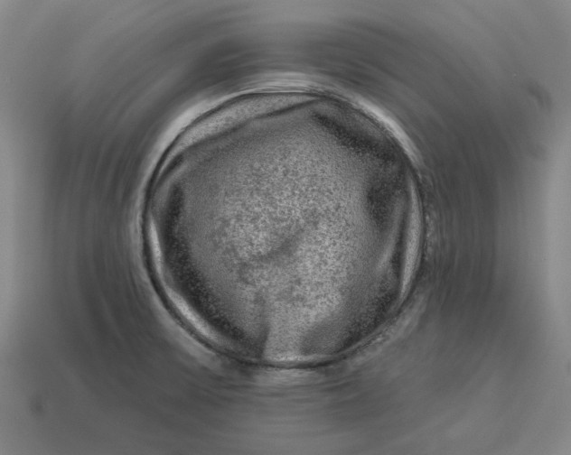 X0000113341475200910060947