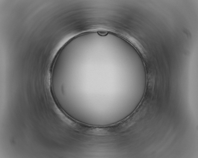 X0000113341476200910060947