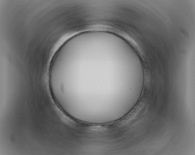 X0000113341478200910060947