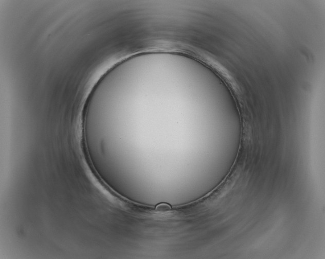 X0000113341479200910060947