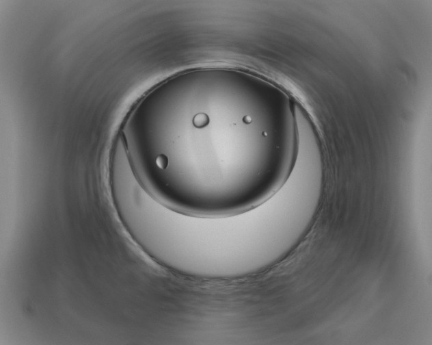 X0000113341480200910060947