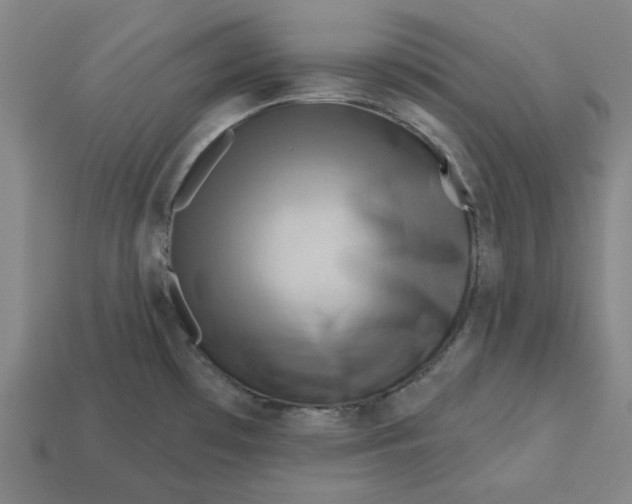 X0000113341481200910060947